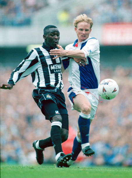 专家的广泛 专家的广泛